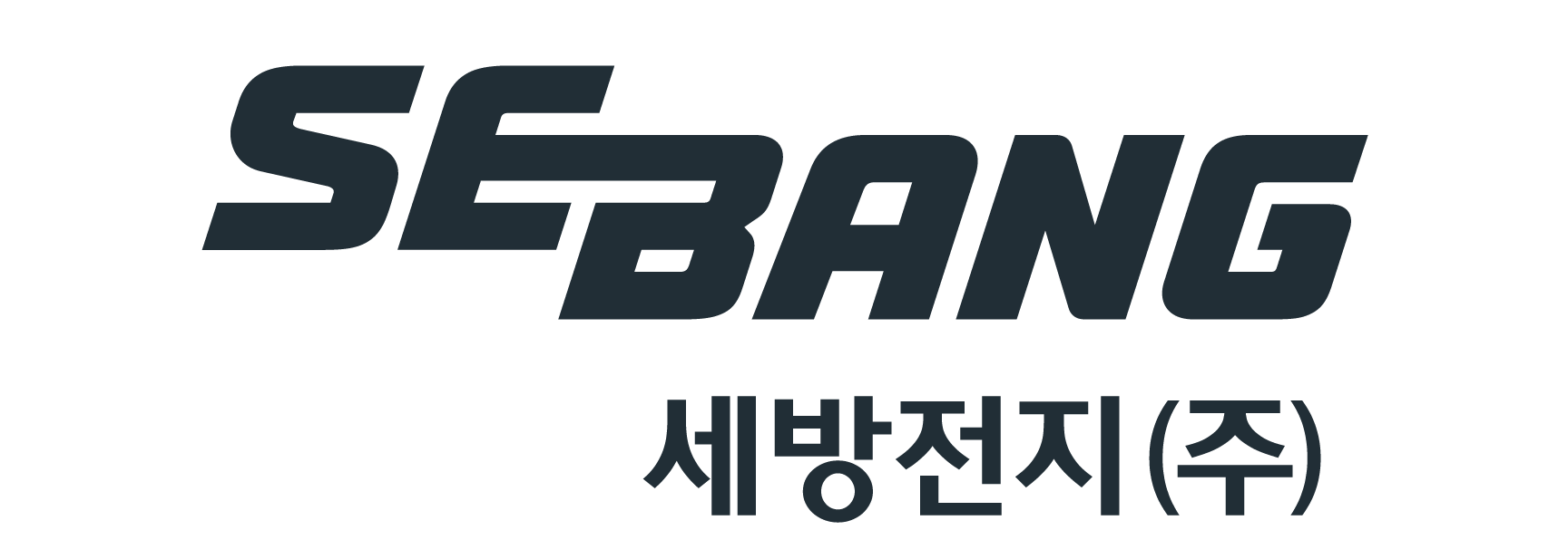 세방전지(주) 자소서 첨삭 가이드: 합격으로 가는 첫걸음! 2 세방전지 로고